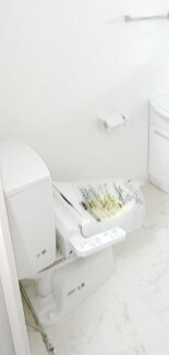 フォーチュン　ガーデンの物件内観写真