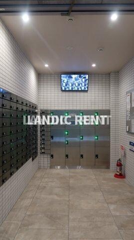 南福岡駅 徒歩5分 10階の物件外観写真