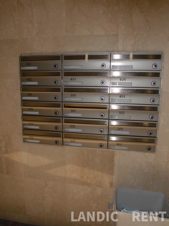 箱崎九大前駅 徒歩5分 3階の物件内観写真