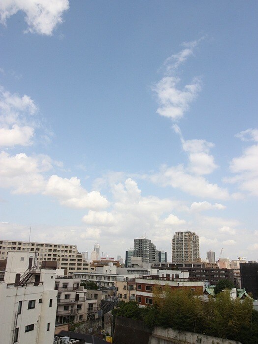 飯田橋駅 徒歩5分 9階の物件内観写真