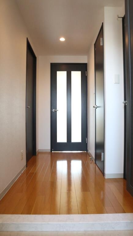 京成曳舟駅 徒歩10分 5階の物件内観写真