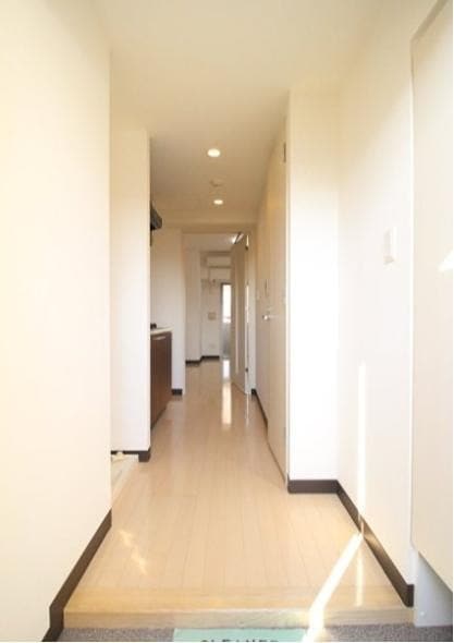 東向島駅 徒歩3分 10階の物件内観写真