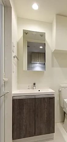 新小岩駅 徒歩3分 6階の物件内観写真