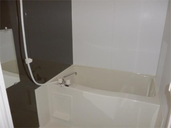 新小岩駅 徒歩10分 3階の物件内観写真