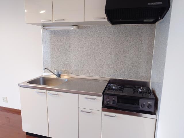 速星駅 徒歩15分 1階の物件内観写真