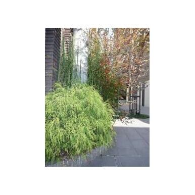 呉服町駅 徒歩3分 5階の物件内観写真