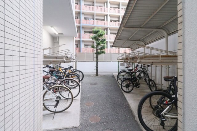 天神駅 徒歩7分 5階の物件内観写真