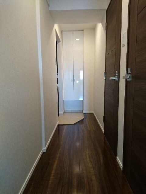 呉服町駅 徒歩5分 5階の物件内観写真