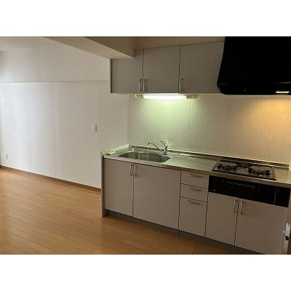 薬院駅 徒歩5分 3階の物件内観写真