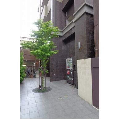 呉服町駅 徒歩3分 5階の物件外観写真