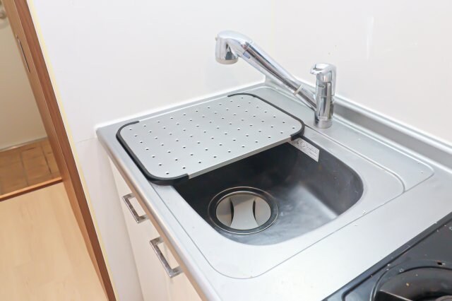 サヴォイザ・ティファナの物件内観写真