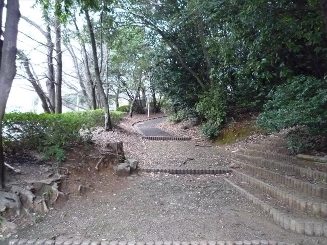 高宮駅 徒歩26分 3階の物件内観写真