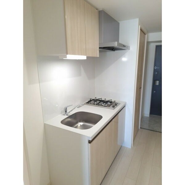 THE RESIDENCE Hの物件内観写真