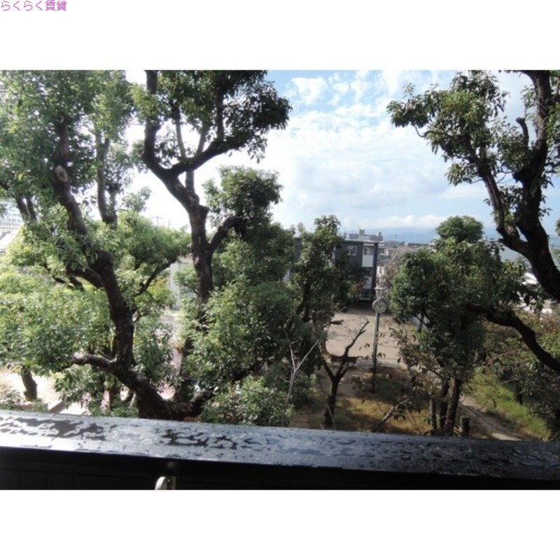 武庫川駅 徒歩3分 1階の物件内観写真