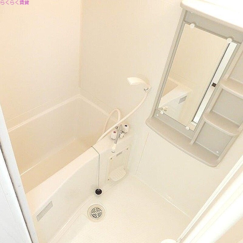 天満駅 徒歩4分 5階の物件内観写真