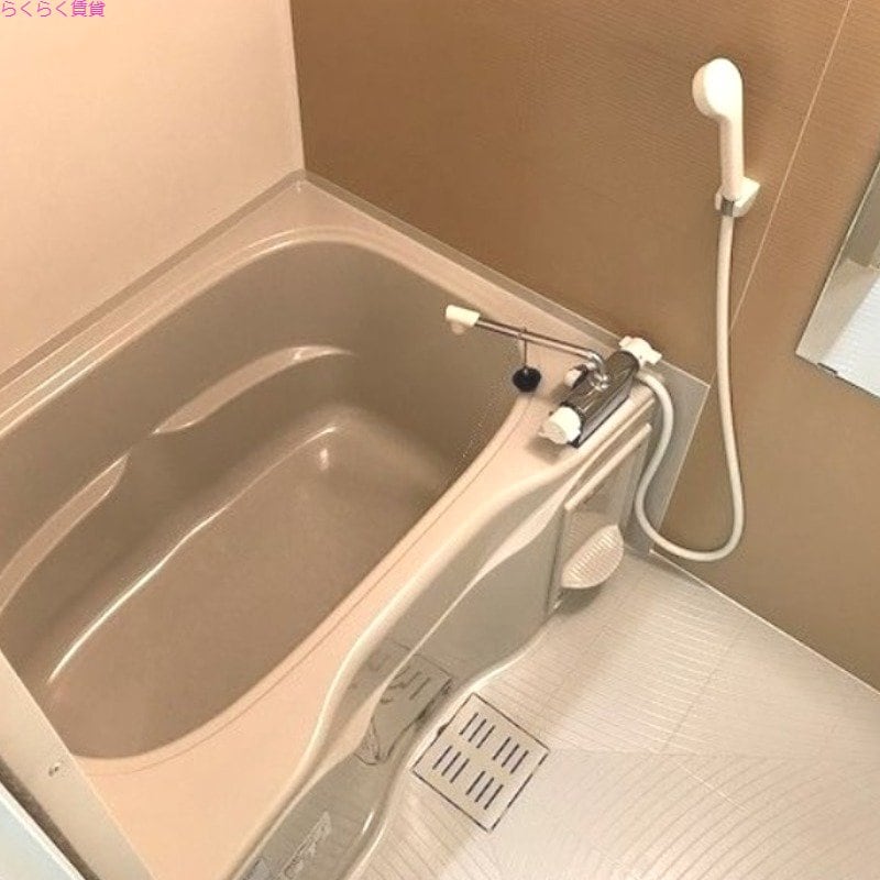 河内花園駅 徒歩3分 3階の物件内観写真