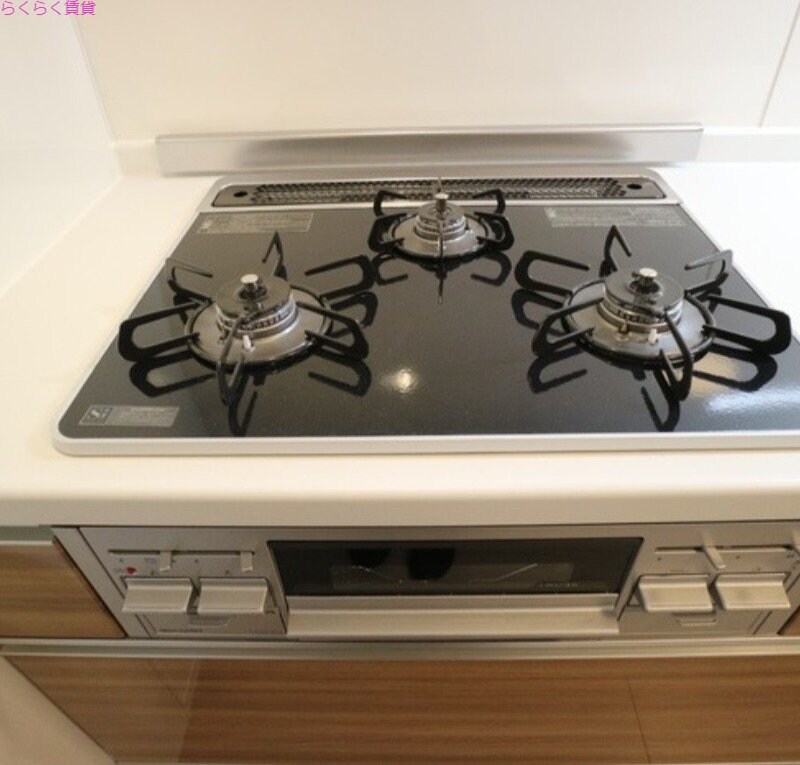 Ｃｌａｓｈｉｓｔ中宮Ｎｏｒｔｈの物件内観写真