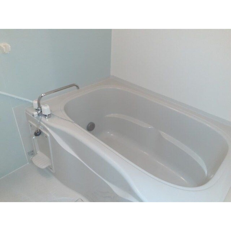 ダイアナ　レイクの物件内観写真