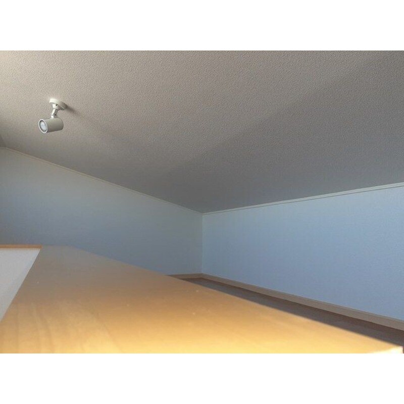 ダイアナ　レイクの物件内観写真