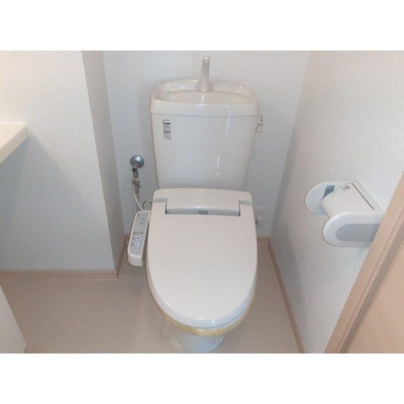 ダイアナ　レイクの物件内観写真