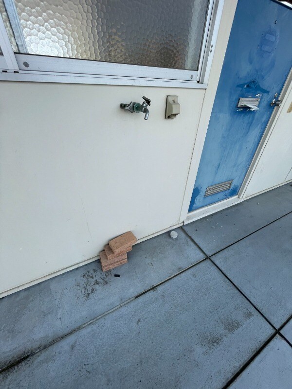 阪口ハイツの物件内観写真