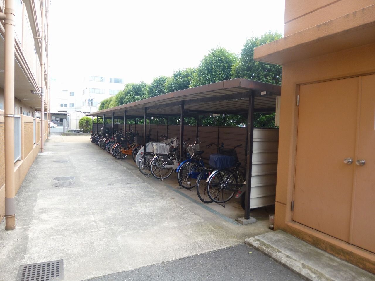 ドルミ・イヌイの物件内観写真