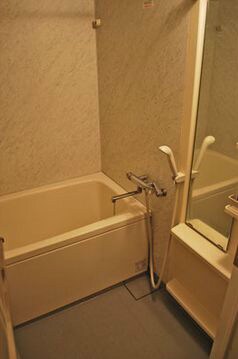 ニューシティアパートメンツ亀戸の物件内観写真