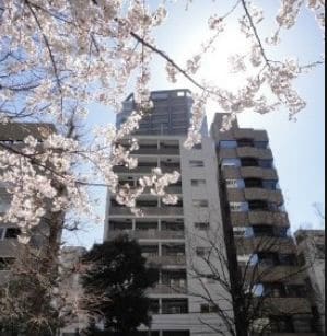 Liaison銀座一丁目の物件内観写真