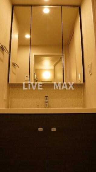 ザ・パークハビオSOHO大手町の物件内観写真