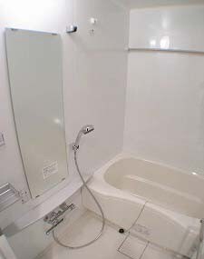 カスタリア芝公園の物件内観写真