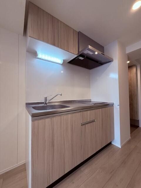 ラヴィエール錦糸公園の物件内観写真