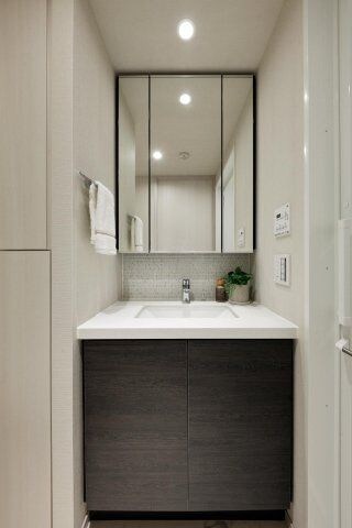 ザ・パークハビオSOHO南青山の物件内観写真