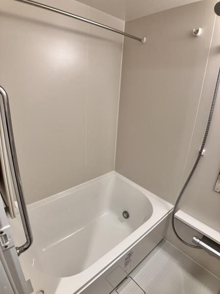 Brillia Tower 浜離宮の物件内観写真