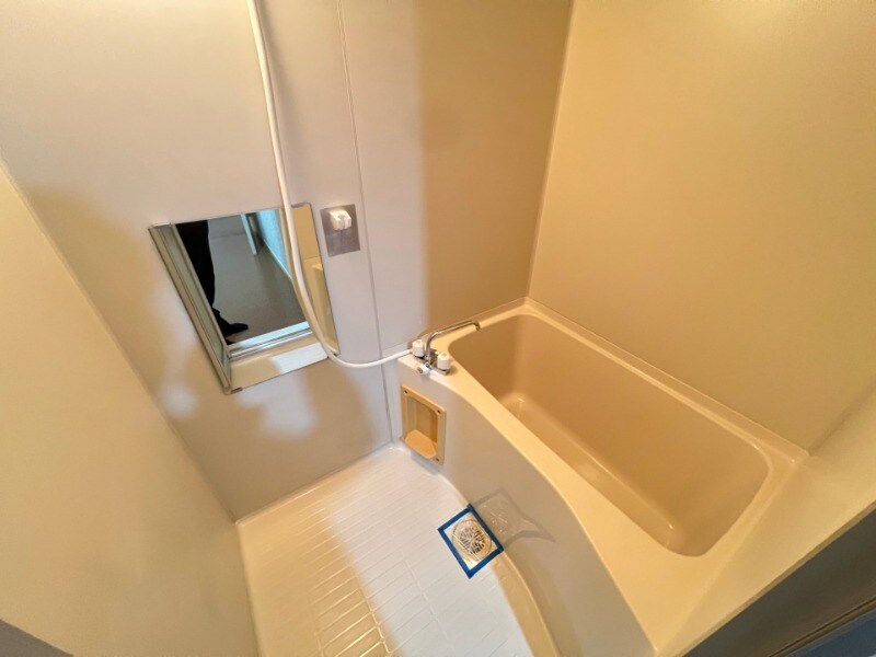 天神南駅 徒歩7分 9階の物件内観写真