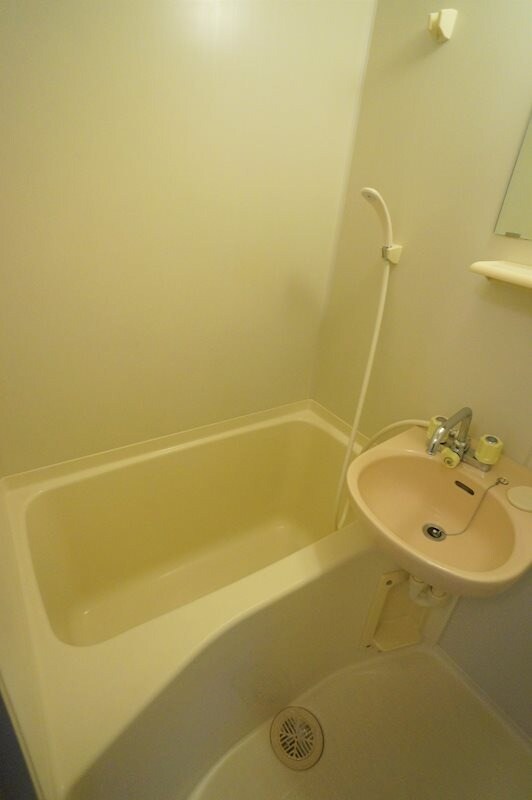 雑餉隈駅 徒歩6分 2階の物件内観写真