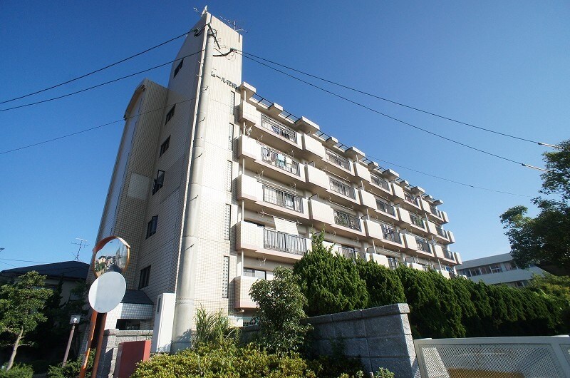 千鳥駅 徒歩11分 2階の物件内観写真