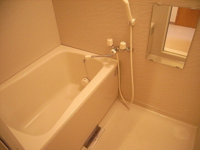 箱崎九大前駅 徒歩5分 3階の物件内観写真