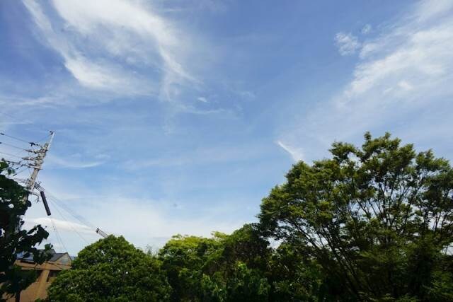 本城駅 徒歩7分 2階の物件内観写真