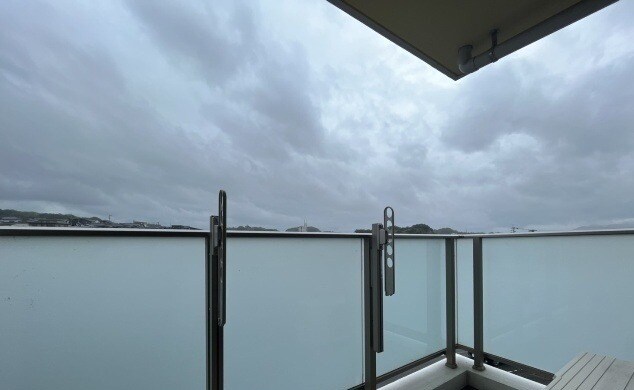 新入駅 徒歩36分 4階の物件内観写真