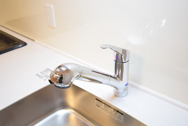 元町駅 徒歩5分 9階の物件内観写真