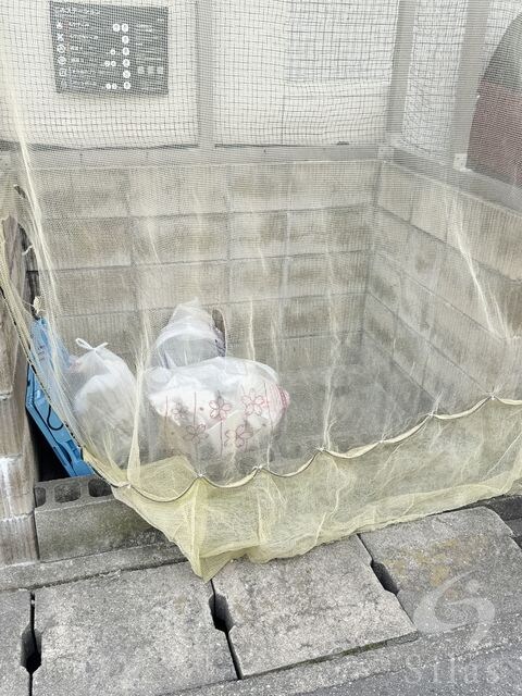 西宮北口駅 徒歩10分 3階の物件外観写真