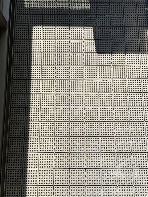 武庫之荘駅 徒歩12分 2階の物件内観写真