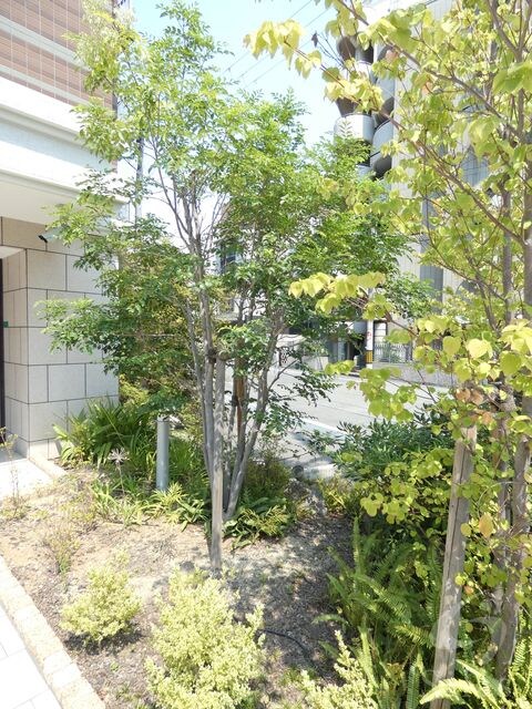 塚本駅 徒歩6分 1階の物件外観写真