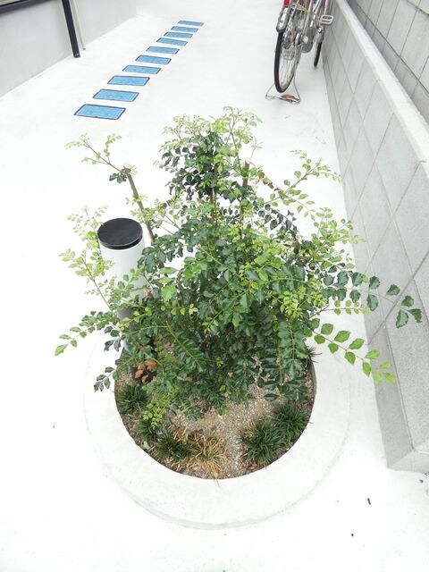 立花駅 徒歩6分 1階の物件外観写真