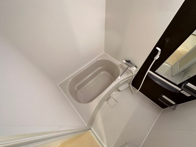 セレニテ神戸元町の物件内観写真