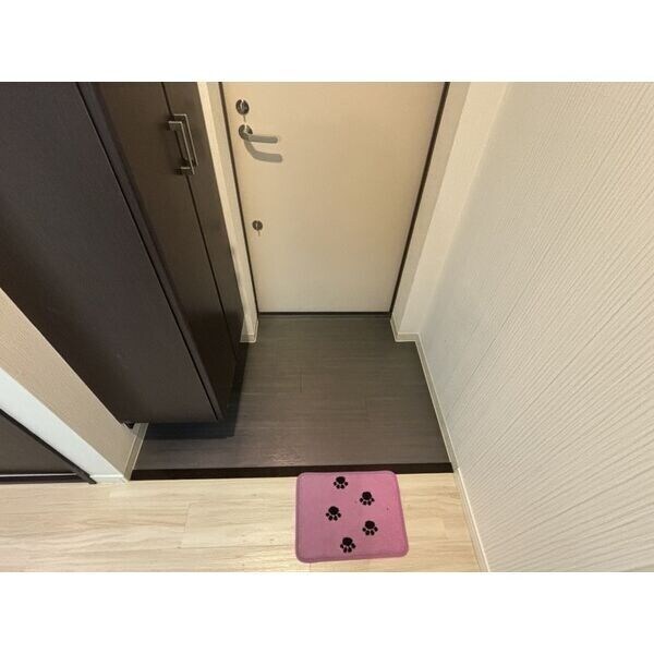 REX新栄の物件内観写真