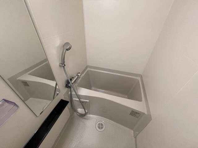 新栄町駅 徒歩1分 5階の物件内観写真