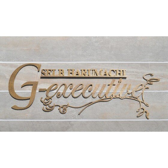 セルブ春町　G-EXECUTIVEの物件外観写真