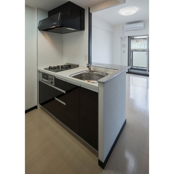 エステムコート難波サウスプレイスIVパークグレイスの物件内観写真