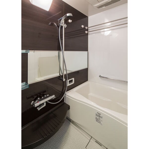 エステムコート難波サウスプレイスIVパークグレイスの物件内観写真